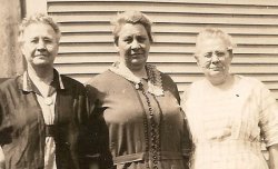 Lillie
   Nelson 1876-1949